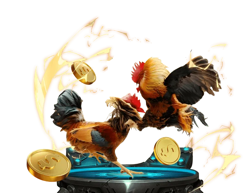 Quy trình tham gia câu lạc bộ VIP OK789.ok